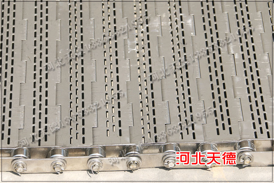 苦荞片输送网带选择不锈钢输送链板的形式